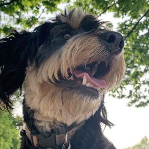 Meet your Posher, Jenna